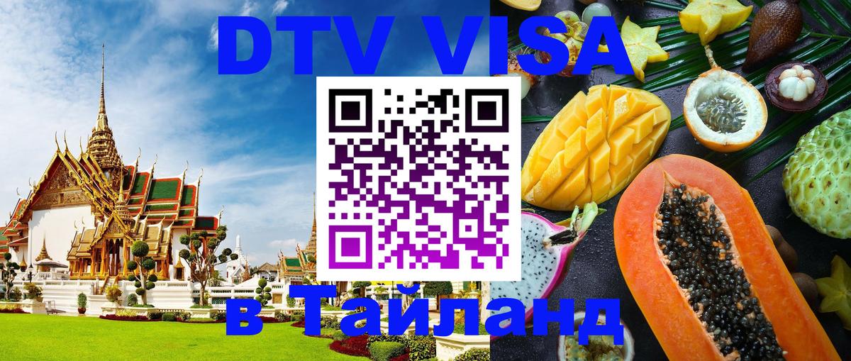 Оформление DTV визы под ключ: стоимость и тарифы, только загранпаспорт - 21.11.2025 